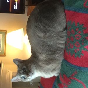 Meet your Posher, Mel